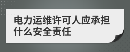 电力运维许可人应承担什么安全责任