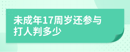 未成年17周岁还参与打人判多少