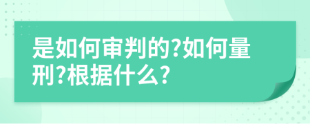 是如何审判的?如何量刑?根据什么?