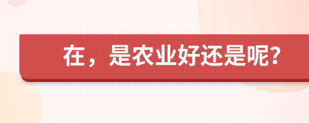 在，是农业好还是呢？