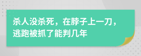 杀人没杀死，在脖子上一刀，逃跑被抓了能判几年