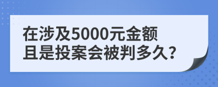 在涉及5000元金额且是投案会被判多久？