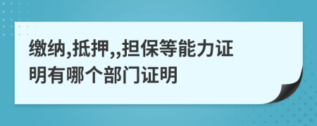 缴纳,抵押,,担保等能力证明有哪个部门证明