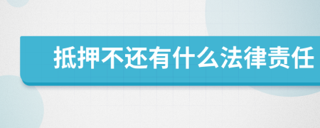 抵押不还有什么法律责任