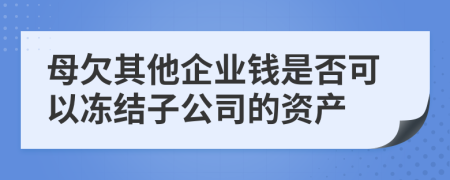 母欠其他企业钱是否可以冻结子公司的资产