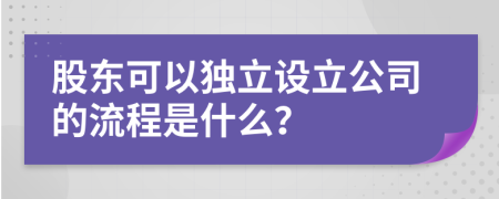 股东可以独立设立公司的流程是什么？