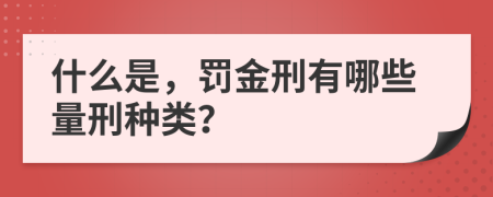 什么是，罚金刑有哪些量刑种类？