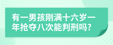 有一男孩刚满十六岁一年抢夺八次能判刑吗?