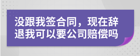 没跟我签合同，现在辞退我可以要公司赔偿吗