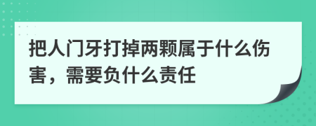 把人门牙打掉两颗属于什么伤害，需要负什么责任