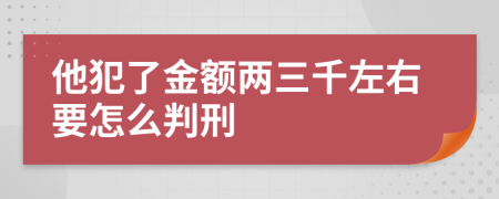 他犯了金额两三千左右要怎么判刑