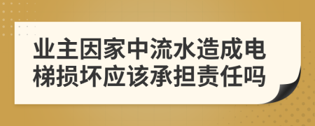 业主因家中流水造成电梯损坏应该承担责任吗