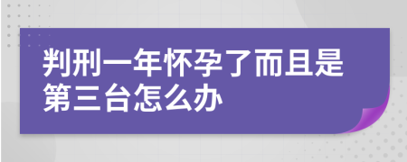 判刑一年怀孕了而且是第三台怎么办