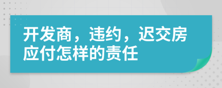 开发商，违约，迟交房应付怎样的责任