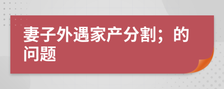 妻子外遇家产分割；的问题