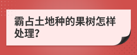 霸占土地种的果树怎样处理？