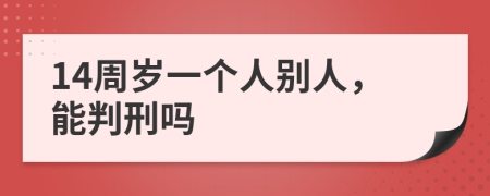 14周岁一个人别人，能判刑吗