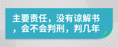 主要责任，没有谅解书，会不会判刑，判几年