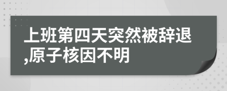 上班第四天突然被辞退,原子核因不明