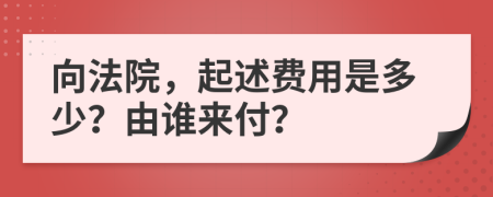 向法院，起述费用是多少？由谁来付？