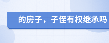 的房子，子侄有权继承吗