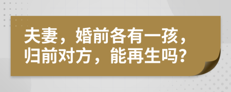 夫妻，婚前各有一孩，归前对方，能再生吗？