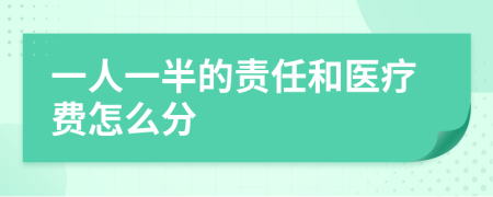 一人一半的责任和医疗费怎么分