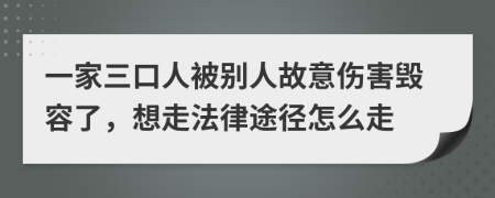 一家三口人被别人故意伤害毁容了，想走法律途径怎么走