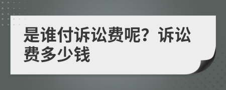 是谁付诉讼费呢？诉讼费多少钱