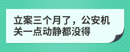 立案三个月了，公安机关一点动静都没得