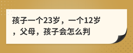 孩子一个23岁，一个12岁，父母，孩子会怎么判