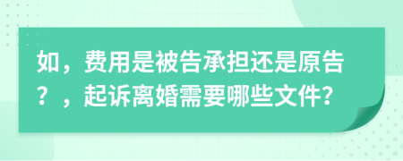 如，费用是被告承担还是原告？，起诉离婚需要哪些文件？