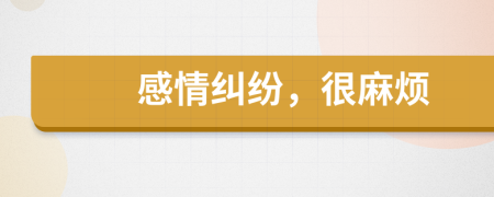 感情纠纷，很麻烦