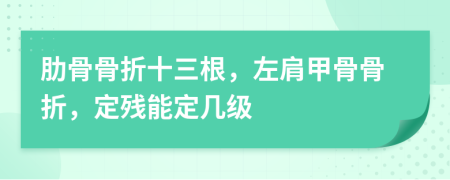 肋骨骨折十三根，左肩甲骨骨折，定残能定几级