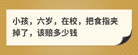 小孩，六岁，在校，把食指夹掉了，该赔多少钱