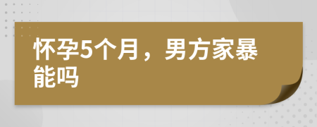 怀孕5个月，男方家暴能吗