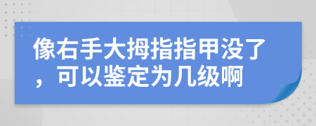 像右手大拇指指甲没了，可以鉴定为几级啊