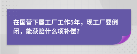 在国营下属工厂工作5年，现工厂要倒闭，能获赔什么项补偿？