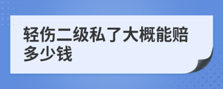 轻伤二级私了大概能赔多少钱