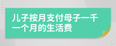儿子按月支付母子一千一个月的生活费