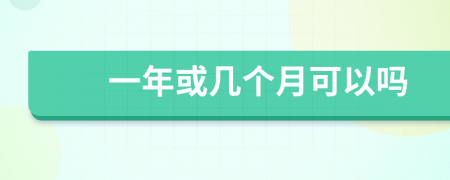 一年或几个月可以吗