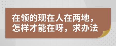 在领的现在人在两地，怎样才能在呀，求办法