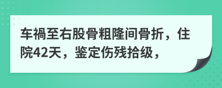 车禍至右股骨粗隆间骨折，住院42天，鉴定伤残拾级，