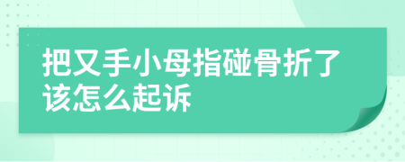 把又手小母指碰骨折了该怎么起诉