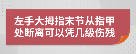 左手大拇指末节从指甲处断离可以凭几级伤残