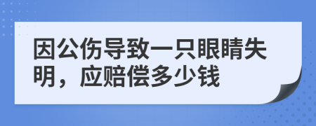 因公伤导致一只眼睛失明，应赔偿多少钱