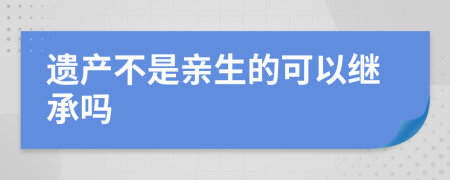 遗产不是亲生的可以继承吗