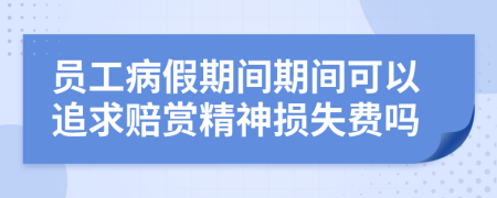 员工病假期间期间可以追求赔赏精神损失费吗