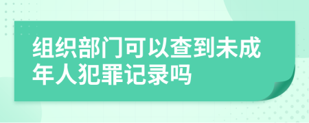 组织部门可以查到未成年人犯罪记录吗