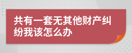 共有一套无其他财产纠纷我该怎么办